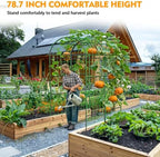 Garden Arch Trellis with Netting, Metal Garden Trellis for Climbing Plants - Image 3