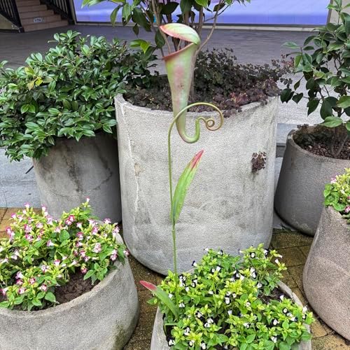 Whimsical Metal Carnivorous Plant Garden Stake Pitcher Plant Sculpture - Image 6