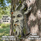 10" Whimsical Tree Face Sculpture, Garden Peeker Statue, Outdoor Trunk Tree Huggers Art, Landscape Accent Ornament, Hanging Fairy Elve Figurine for Yard Art, Trees Decor Wall Mounted Statues - Image 4