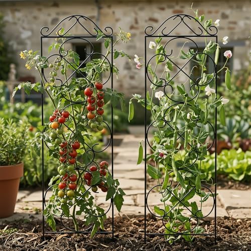 Thealyn 4 Pack 48" x 12.5" Metal Trellis for Potted Plants and Planters - Image 4