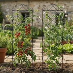 Thealyn 4 Pack 48" x 12.5" Metal Trellis for Potted Plants and Planters - Image 4
