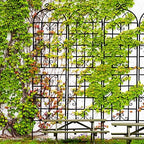 Garden Trellis for Climbing Plants Outdoor, 4-Pack 86" Metal Rustproof - Image 2