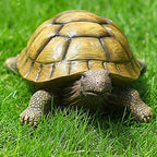 Turtle Garden Statue,Outdoor Figurine,Indoor Tortoise Sculpture Colloction - Image 2