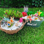 Mood Lab Fairy Garden Figurines - Fairy Statue Set (6 pcs) - Miniature Decorative Statues & Accessories - Outdoor & Indoor Garden Decor - Image 5