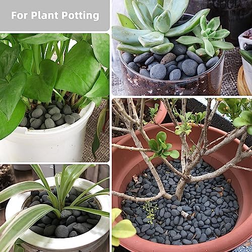 18lb Small Smooth River Rocks Pebbles for Plants & Succulents, Decorative Outdoor Landscaping Garden Rocks, Natural Mexican Beach Pebbles, Gravel for Aquarium, Fish Tanks, Vase and Yard Decor - Image 5