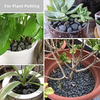 18lb Small Smooth River Rocks Pebbles for Plants & Succulents, Decorative Outdoor Landscaping Garden Rocks, Natural Mexican Beach Pebbles, Gravel for Aquarium, Fish Tanks, Vase and Yard Decor - Image 5