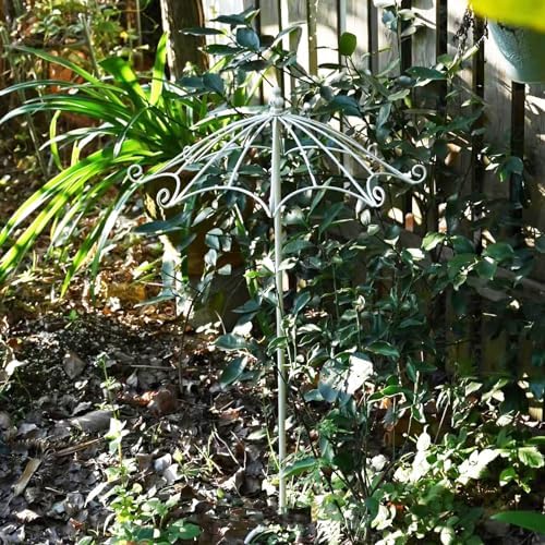 Vintage Garden Trellis, Umbrella Shape, Antique Craftsmanship, Heavy Duty Rustproof Iron Plant Trellis For Potted Plant Support Metal Climbing Rose Trellis Vine Vegetable Cucumber ( Color : Antique Wh - Image 4