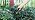 Solar Lights Outdoor Decor Hummingbird Colorful Cracked Glass Moon Lights - Image 7
