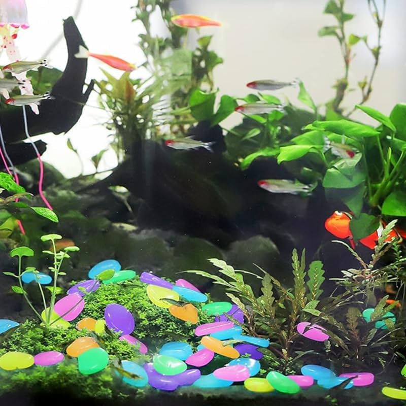 Luminous Stones for Garden & Home Decoration - 1000pcs Garden Pebbles, Small Luminous Pebbles Aquariums Rocks, for Landscaping for Fish Tank Lawn Yard Garden Walkway Plant Pots (2000 PCS) - Image 4