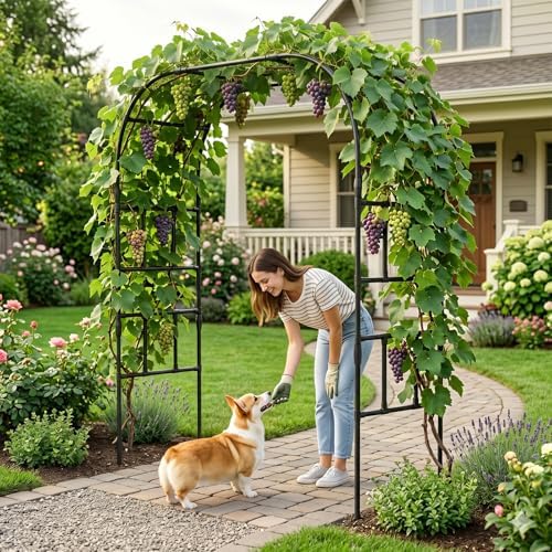 DoCred 87" H x 79" L Garden Arch Trellis, Metal Trellis for Climbing Plants - Image 7