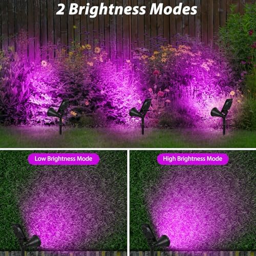 T-SUN Purple Solar Spot Lights Outdoor, Solar Black Lights Outdoor,4 Pack - Image 4