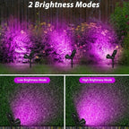 T-SUN Purple Solar Spot Lights Outdoor, Solar Black Lights Outdoor,2 Pack - Image 3
