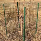 Black PVC Coated Welded Wire Fence 48" x 25' Roll, 2"x3" Mesh, 16 Gauge - Image 5