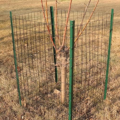 Black PVC Coated Welded Wire Fence 48" x 25' Roll, 2"x3" Mesh, 16 Gauge - Image 5