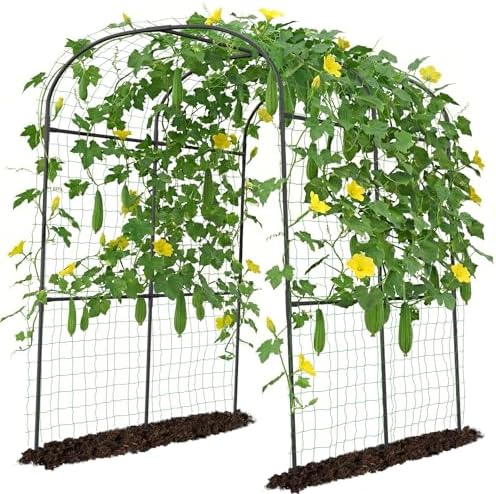 DoCred Tall Garden Arch Trellis for Climbing Plants, 83 Inch Tall Metal Plant Support Trellis Archway for Climbing Vine Vegetable/Fruit/Flower Outdoor Yard Lawn Garden Arch Tunnel Trellis by DoCred