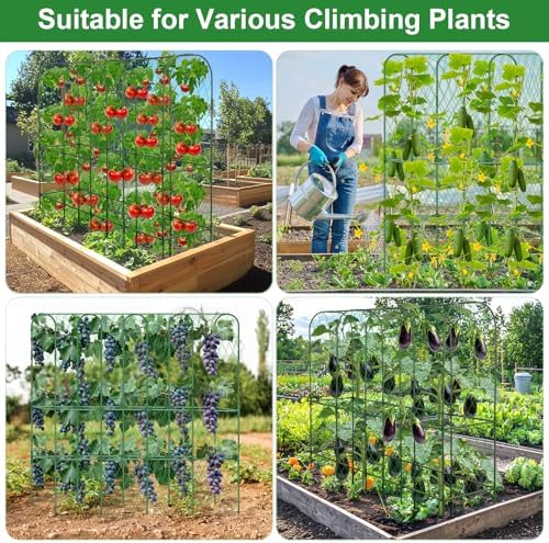 Cucumber Trellis for Raised Bed 5.4x5.5ft U-Shape Adjust Metal Garden Trellis for Climbing Plants Outdoor with Climbing Net Vegetable Arch Trellises Support Plant for Tomato Pea Fruit Squash Trellises - Image 6