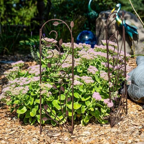 Sunnydaze 32-Inch Rustic Plant Design Outdoor Garden Trellis - Metal Wire Plant Support Trellis for Climbing Plants - Brown - Set of 2 - Image 6