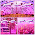 2 Pack 1000W LED Grow Light Full Spectrum Grow Lamps Dual Switch Greenhouse 96 LEDs Light with Veg and Bloom Buttons for Indoor Hydroponic Plant Flower Vegetable Seeding Growing and Flowering - Image 6