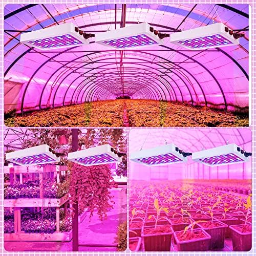 2 Pack 1000W LED Grow Light Full Spectrum Grow Lamps Dual Switch Greenhouse 96 LEDs Light with Veg and Bloom Buttons for Indoor Hydroponic Plant Flower Vegetable Seeding Growing and Flowering - Image 6