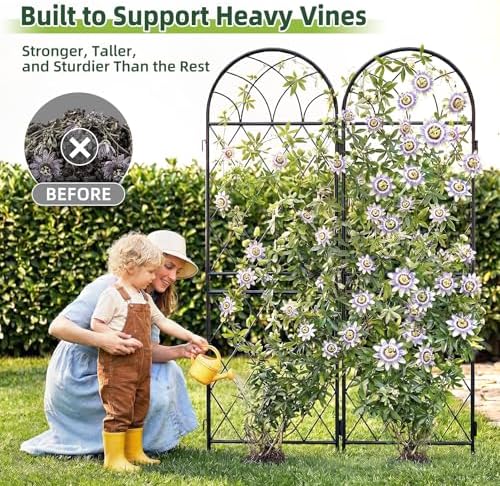 2 Pack 70.8" X 19.7" Metal Garden Trellis for Climbing Plants Outdoor - Rustproof Heavy Duty Arched Trellis - Decorative Rose Plant Support Trellis for Roses,Vines,Vegetables,Flowers,Black - Image 7