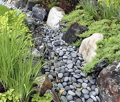 FANTIAN 10 lbs Black River Rocks, 2-3 Inch Stones for Plants Indoor - Image 5