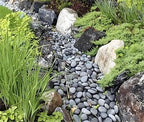 FANTIAN 10 lbs Black River Rocks, 2-3 Inch Stones for Plants Indoor - Image 5