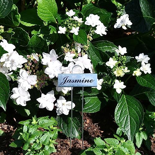 50 Pack Metal Plant Labels for Outdoor Garden Waterproof Plant Markers, Labels Garden Markers for Seedlings Herbs Vegetable Greenhouse Gifts, with Pen - Image 7