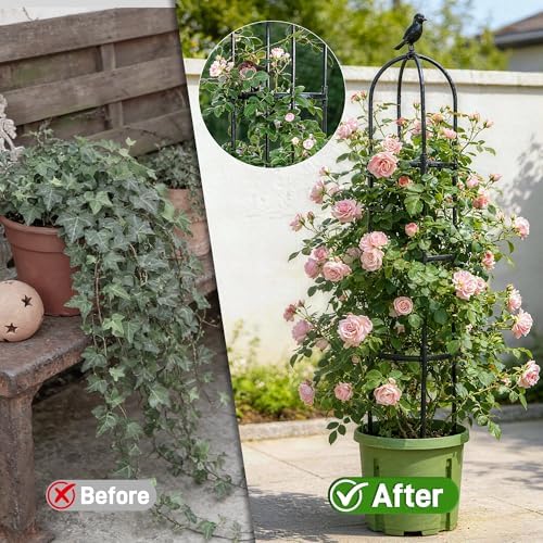2 Pack Trellis for Climbing Planting Outdoor, 6ft Plant Trellis-Rustproof Metal Pipe with Heavy Duty Plastic Coated, Potted Plant Support for Clematis Vine Jasmine Support - Image 4