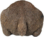 Design Toscano Catch of the Day Grand Bear Sculpture - Image 4