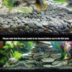 45LB River Rocks,Mexican Beach Pebbles for Plants,Potting,Garden Landscape Stone Paving Stone Grey 1Inch… - Image 4