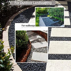 Black River Rocks - Large Polished Black Pebbles for Plants & Garden Decorative Stones, 1-2 Inch, 15 Pound - Image 5