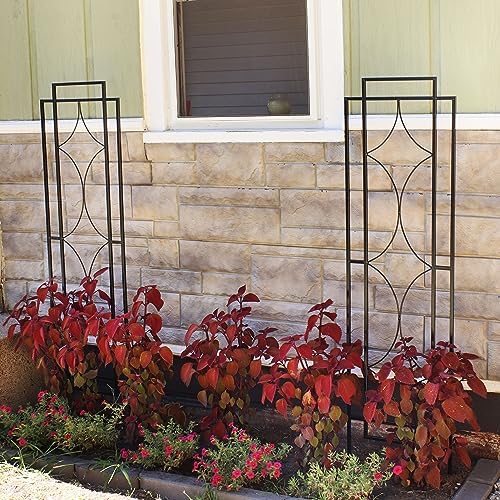 Sunnydaze 60" Black Metal Garden Trellis for Climbing Plants, 2-Pack - Image 6
