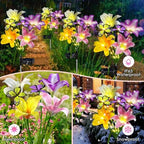 Solar Garden Lights Outdoor 4 Pack Lily Lights with Butterflies, Waterproof - Image 3