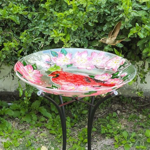MUMTOP Outdoor Glass Birdbath with Metal Stand for Garden Cardinal Decor - Image 3