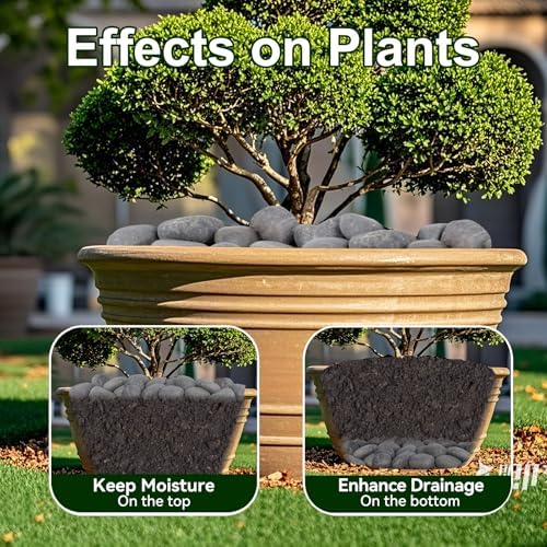 40 lbs Rocks for Outdoor Landscaping, 2-3" Decorative Planter Rocks - Image 3