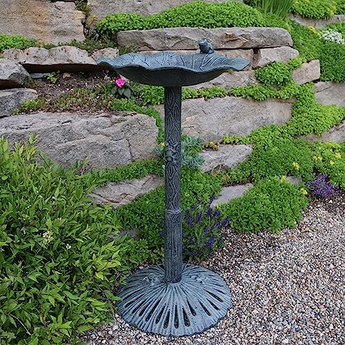 Oakland Living Frog Bird Bath, Verdi Grey - Image 2