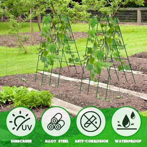No Assembly Required Cucumber Trellis,2 Pack Trellis for Cucumbers,Outdoor Raised Bed Climbing Plant Support,A-Frame Garden Frame,Used for Vegetables,peas,Tomatoes,Squash,Melon and Fruit Frame - Image 4
