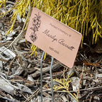 Outdoor Metal Garden Sign, Label, or Memorial. 4 x 2" or 6 x 4" sign with rounded corners and a 10" stake. Materials Include: Stainless Steel, Brass, Copper, Bronze and Titanium. (Copper, 4 x 2") - Image 2