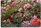 Lantern Press 10x15 Inch Wood Sign, Ready to Hang Wall Decor, Portland, Oregon, Rose Garden Roses by LanternPress