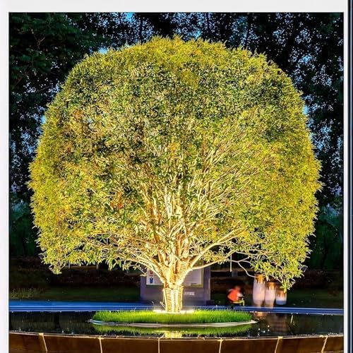 Outdoor Ring Tree Light - Tree Hugging Lights, 24V Colored LED IP65 Waterproof LED Uplighting or Downlight Lamp, Expandable Interlocking for Trees/Roman Columns(Warm White,12W(24v)) - Image 2
