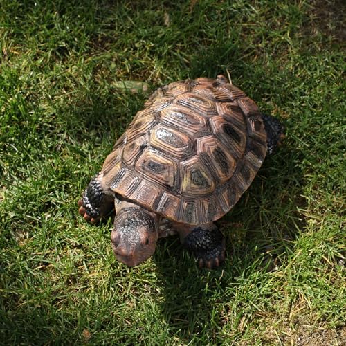 Turtle Statue, Resin Garden Sculpture Indoor/Outdoor Yard Lawn Ornament,Home Decor (Medium) by Sdeetesamjun