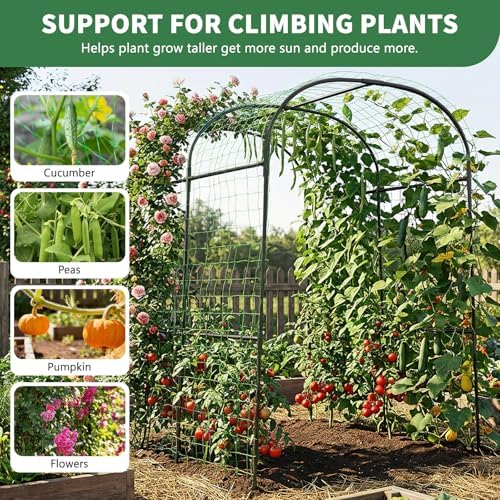 Tall Garden Arch Trellis for Climbing Plants, 83" H Metal Trellis Archway - Image 4