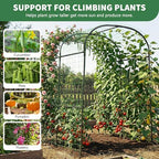 Tall Garden Arch Trellis for Climbing Plants, 83" H Metal Trellis Archway - Image 4