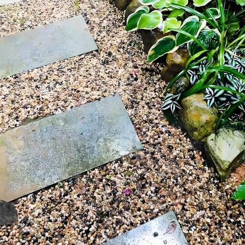 FANTIAN 20 lbs Natural Fish Tank Gravel,1/4 Inch Pea Gravel. Mixed Color River Rocks for Aquarium, Succulent, Vase, Cactus Bonsai, Plant Soil Cover and Outdoor Landscaping Rocks - Image 6