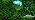 Solar Garden Lights 4 Pack, LED Sunflower Waterproof Auto On/Off - Image 7