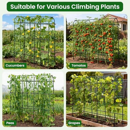 OTOSUNNY 72"x72" Garden Arch Trellis for Climbing Plants, Black - Image 4