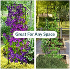 Sunnydaze 60" Black Metal Garden Trellis for Climbing Plants, 2-Pack - Image 3