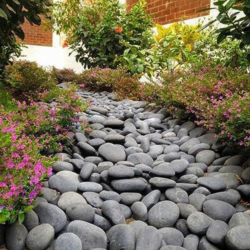 FANTIAN 40 lbs Black River Rocks for Landscaping, 3-4 Inch Beach Pebbles - Image 5