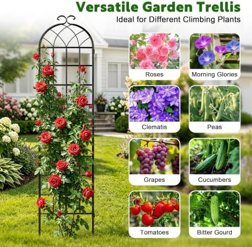LZRS 82.7 x 80in Rustic Iron Arch Decoration Garden Trellis with Black Metal Coating – Perfect for Supporting Climbing Plants Outdoor, Roses, Vines, Flowers, and Vegetables. - Image 4