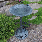 Oakland Living Frog Bird Bath, Verdi Grey - Image 3